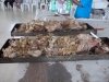 194-2012-09-29-nucleo-assef-guarapuava-4-fevama-195