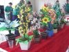 195-2012-09-29-nucleo-assef-guarapuava-4-fevama-196