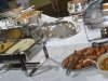 20131123_jantar_dancante-assef-290